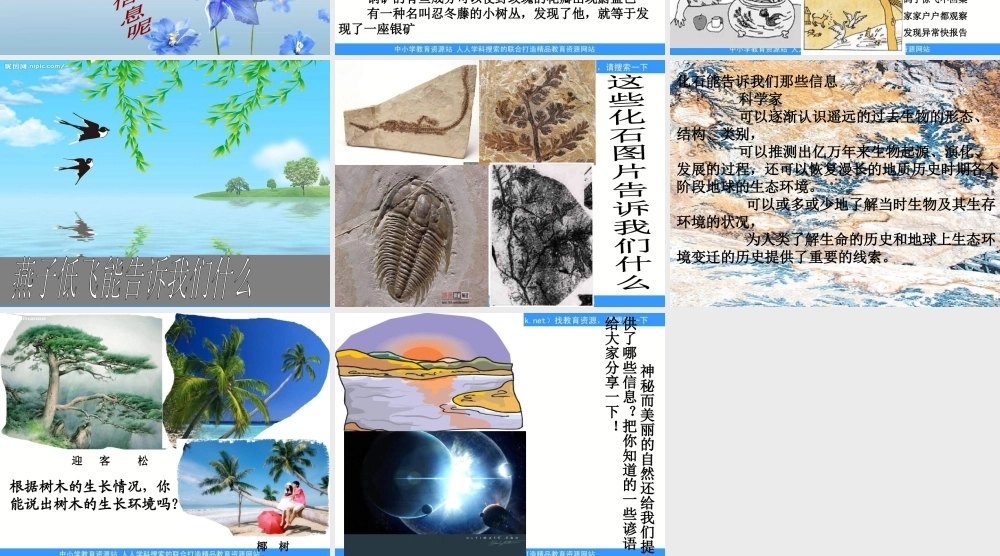 青岛小学科学六下《16、来自大自然的信息》PPT课件 (3)【加微信公众号 jiaoxuewuyou 九折优惠 qq 1119139686】.ppt