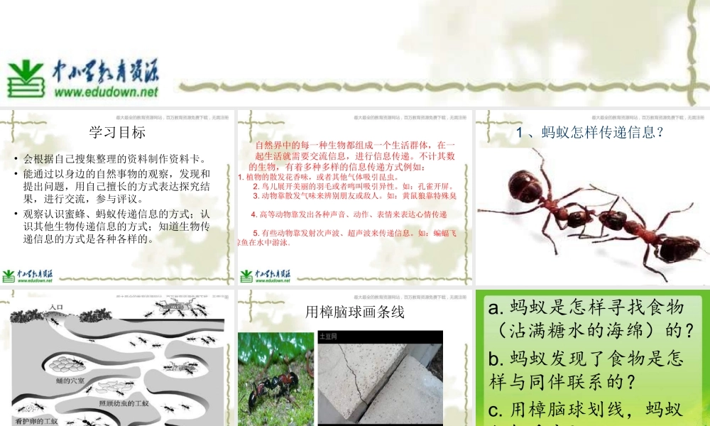 青岛小学科学六下《17、生物是怎样传递信息的》PPT课件 (1)【加微信公众号 jiaoxuewuyou 九折优惠 qq 1119139686】.ppt