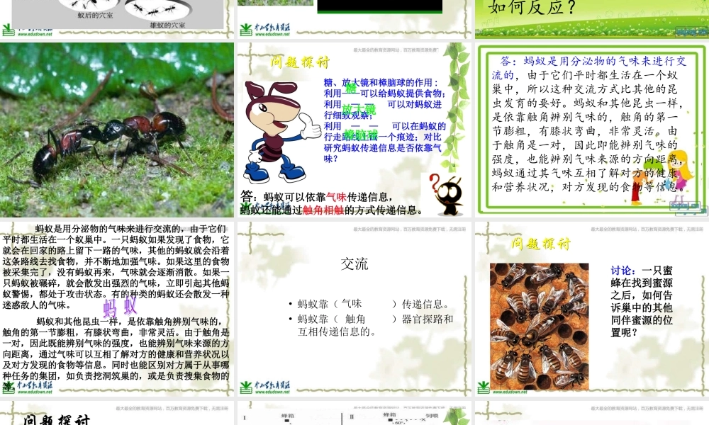 青岛小学科学六下《17、生物是怎样传递信息的》PPT课件 (1)【加微信公众号 jiaoxuewuyou 九折优惠 qq 1119139686】.ppt