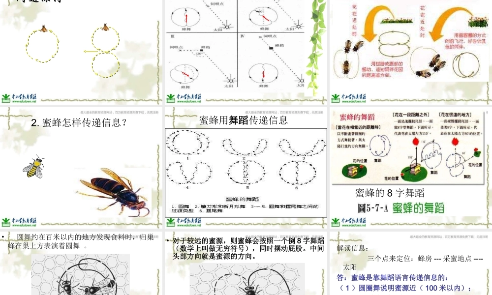 青岛小学科学六下《17、生物是怎样传递信息的》PPT课件 (1)【加微信公众号 jiaoxuewuyou 九折优惠 qq 1119139686】.ppt