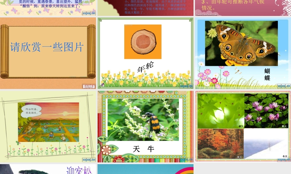 青岛小学科学六下《16、来自大自然的信息》PPT课件 (5)【加微信公众号 jiaoxuewuyou 九折优惠 qq 1119139686】.ppt