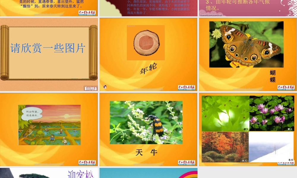 青岛小学科学六下《16、来自大自然的信息》PPT课件 (4)【加微信公众号 jiaoxuewuyou 九折优惠 qq 1119139686】.ppt