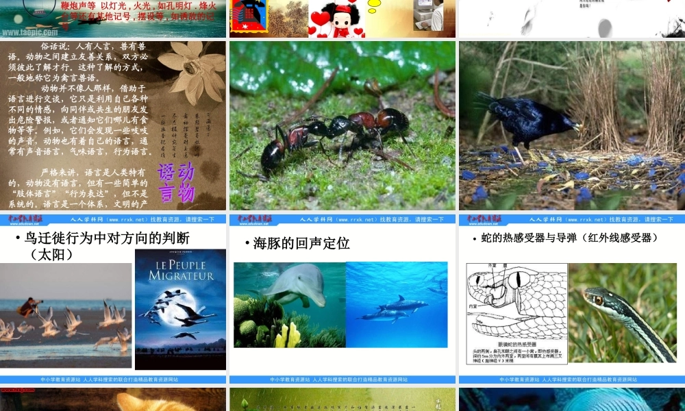青岛小学科学六下《17、生物是怎样传递信息的》PPT课件 (2)【加微信公众号 jiaoxuewuyou 九折优惠 qq 1119139686】.ppt