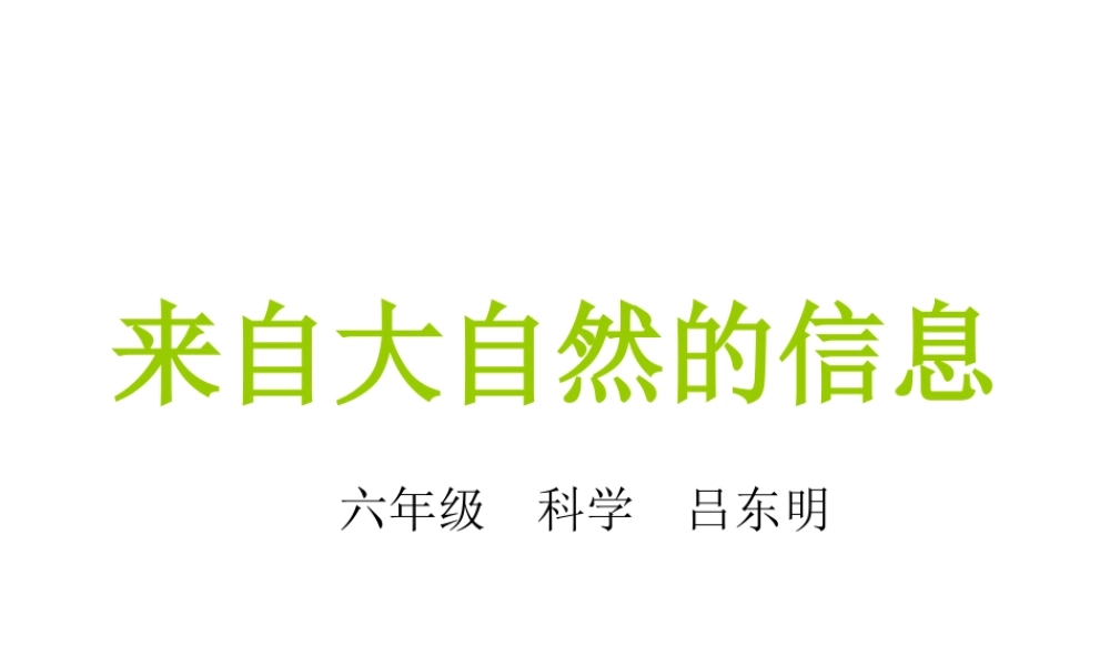 青岛小学科学六下《16、来自大自然的信息》PPT课件 (8)【加微信公众号 jiaoxuewuyou 九折优惠 qq 1119139686】.ppt