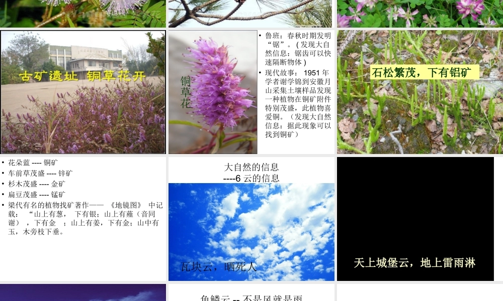 青岛小学科学六下《16、来自大自然的信息》PPT课件 (8)【加微信公众号 jiaoxuewuyou 九折优惠 qq 1119139686】.ppt