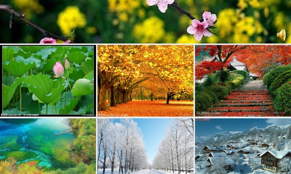 青岛小学科学六下《16、来自大自然的信息》PPT课件 (10)【加微信公众号 jiaoxuewuyou 九折优惠 qq 1119139686】.ppt