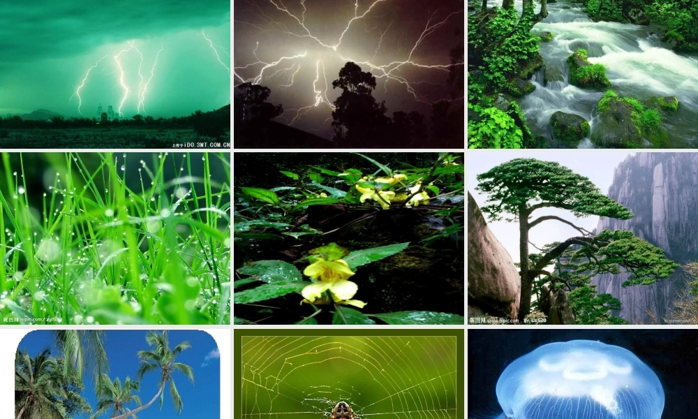 青岛小学科学六下《16、来自大自然的信息》PPT课件 (10)【加微信公众号 jiaoxuewuyou 九折优惠 qq 1119139686】.ppt