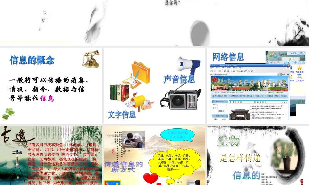 青岛小学科学六下《17、生物是怎样传递信息的》PPT课件 (4)【加微信公众号 jiaoxuewuyou 九折优惠 qq 1119139686】.ppt