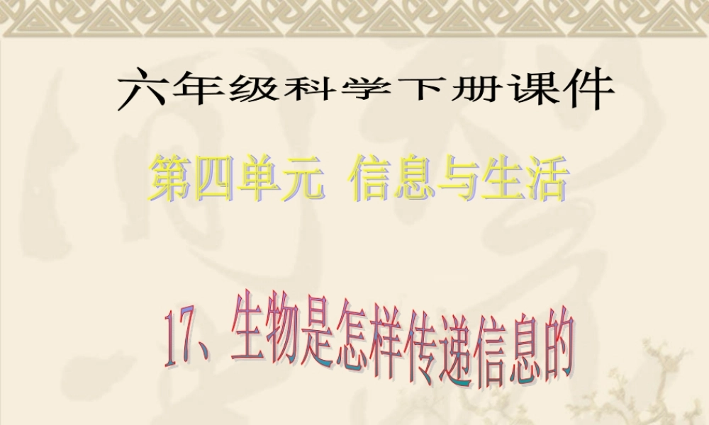 青岛小学科学六下《17、生物是怎样传递信息的》PPT课件 (5)【加微信公众号 jiaoxuewuyou 九折优惠 qq 1119139686】.ppt