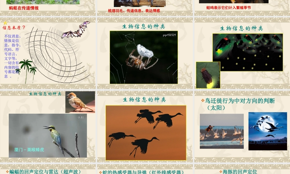 青岛小学科学六下《17、生物是怎样传递信息的》PPT课件 (5)【加微信公众号 jiaoxuewuyou 九折优惠 qq 1119139686】.ppt