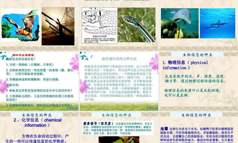 青岛小学科学六下《17、生物是怎样传递信息的》PPT课件 (5)【加微信公众号 jiaoxuewuyou 九折优惠 qq 1119139686】.ppt