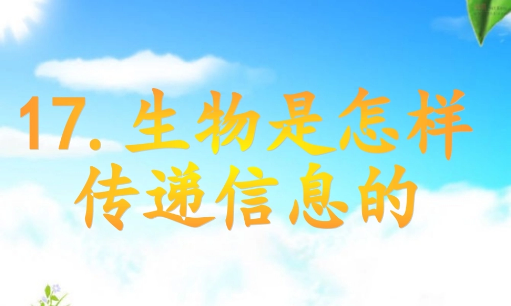 青岛小学科学六下《17、生物是怎样传递信息的》PPT课件 (7)【加微信公众号 jiaoxuewuyou 九折优惠 qq 1119139686】.ppt