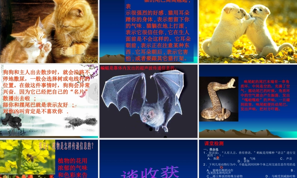 青岛小学科学六下《17、生物是怎样传递信息的》PPT课件 (7)【加微信公众号 jiaoxuewuyou 九折优惠 qq 1119139686】.ppt