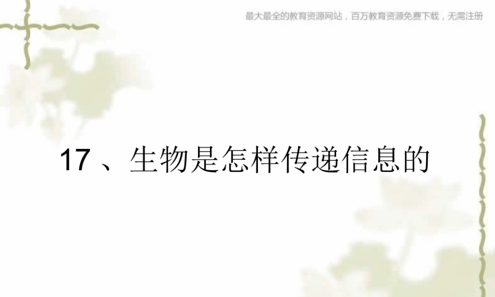 青岛小学科学六下《17、生物是怎样传递信息的》PPT课件 (6)【加微信公众号 jiaoxuewuyou 九折优惠 qq 1119139686】.ppt