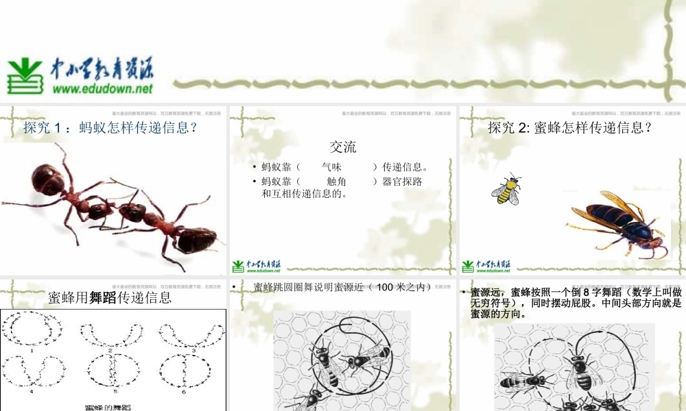青岛小学科学六下《17、生物是怎样传递信息的》PPT课件 (6)【加微信公众号 jiaoxuewuyou 九折优惠 qq 1119139686】.ppt