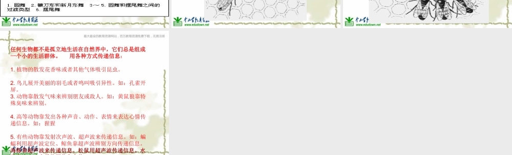 青岛小学科学六下《17、生物是怎样传递信息的》PPT课件 (6)【加微信公众号 jiaoxuewuyou 九折优惠 qq 1119139686】.ppt