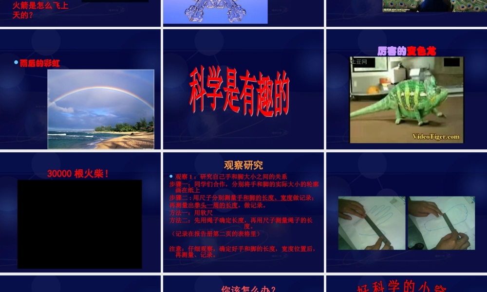 青岛小学科学三上《1 科学在我们身边》PPT课件 (4)【加微信公众号 jiaoxuewuyou 九折优惠 qq 1119139686】.ppt