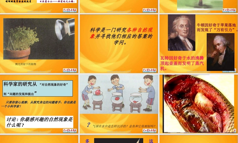 青岛小学科学三上《1 科学在我们身边》PPT课件 (2)【加微信公众号 jiaoxuewuyou 九折优惠 qq 1119139686】.ppt