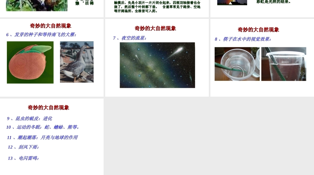 青岛小学科学三上《1 科学在我们身边》PPT课件 (5)【加微信公众号 jiaoxuewuyou 九折优惠 qq 1119139686】.ppt