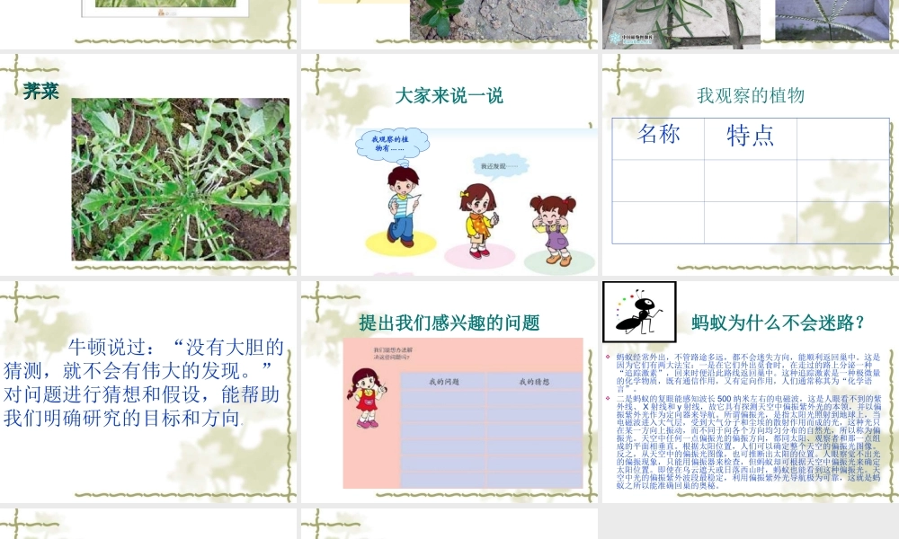 青岛小学科学三上《3 我们身边的动植物》PPT课件 (7)【加微信公众号 jiaoxuewuyou 九折优惠 qq 1119139686】.ppt