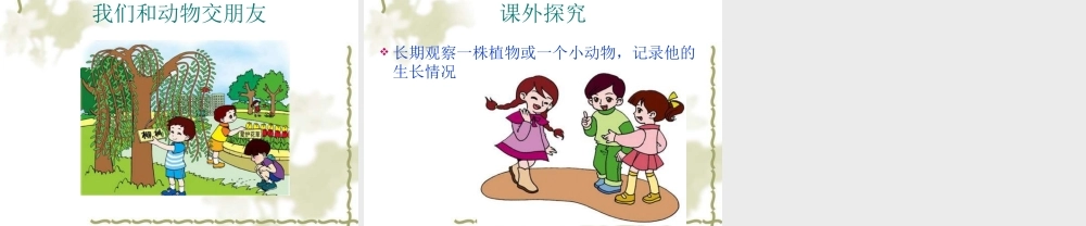 青岛小学科学三上《3 我们身边的动植物》PPT课件 (7)【加微信公众号 jiaoxuewuyou 九折优惠 qq 1119139686】.ppt