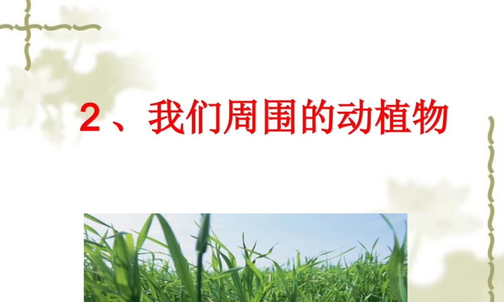 青岛小学科学三上《3 我们身边的动植物》PPT课件 (5)【加微信公众号 jiaoxuewuyou 九折优惠 qq 1119139686】.ppt