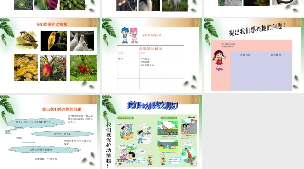 青岛小学科学三上《3 我们身边的动植物》PPT课件 (1)【加微信公众号 jiaoxuewuyou 九折优惠 qq 1119139686】.ppt