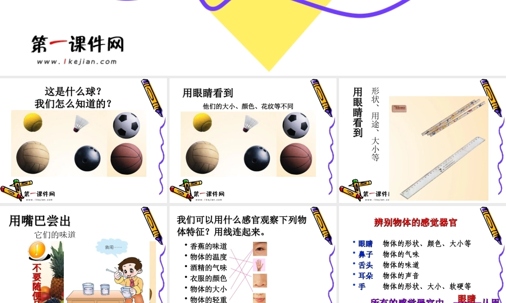 青岛小学科学三上《4 怎样认识物体》PPT课件 (1)【加微信公众号 jiaoxuewuyou 九折优惠 qq 1119139686】.ppt