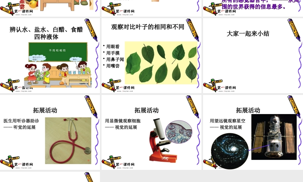 青岛小学科学三上《4 怎样认识物体》PPT课件 (1)【加微信公众号 jiaoxuewuyou 九折优惠 qq 1119139686】.ppt