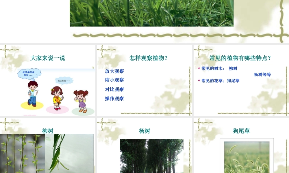 青岛小学科学三上《3 我们身边的动植物》PPT课件 (3)【加微信公众号 jiaoxuewuyou 九折优惠 qq 1119139686】.ppt