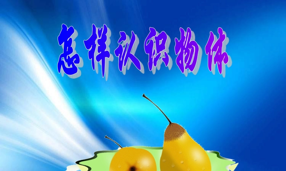 青岛小学科学三上《4 怎样认识物体》PPT课件 (3)【加微信公众号 jiaoxuewuyou 九折优惠 qq 1119139686】.ppt