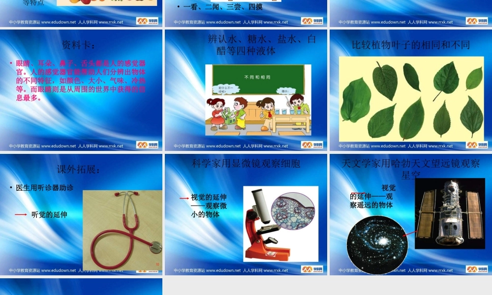 青岛小学科学三上《4 怎样认识物体》PPT课件 (4)【加微信公众号 jiaoxuewuyou 九折优惠 qq 1119139686】.ppt