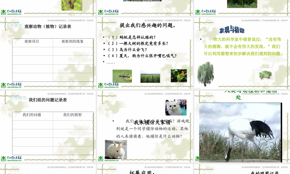 青岛小学科学三上《3 我们身边的动植物》PPT课件 (2)【加微信公众号 jiaoxuewuyou 九折优惠 qq 1119139686】.ppt