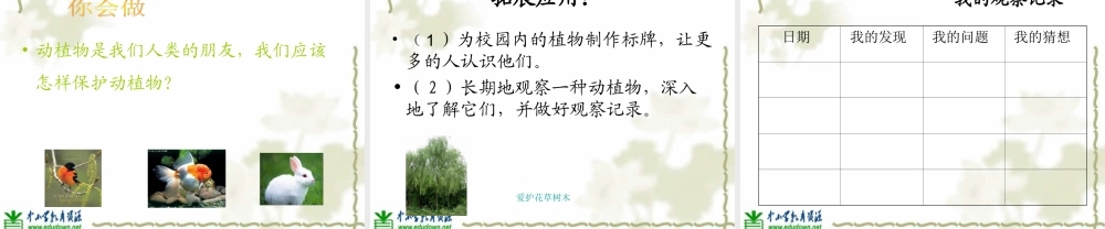 青岛小学科学三上《3 我们身边的动植物》PPT课件 (2)【加微信公众号 jiaoxuewuyou 九折优惠 qq 1119139686】.ppt