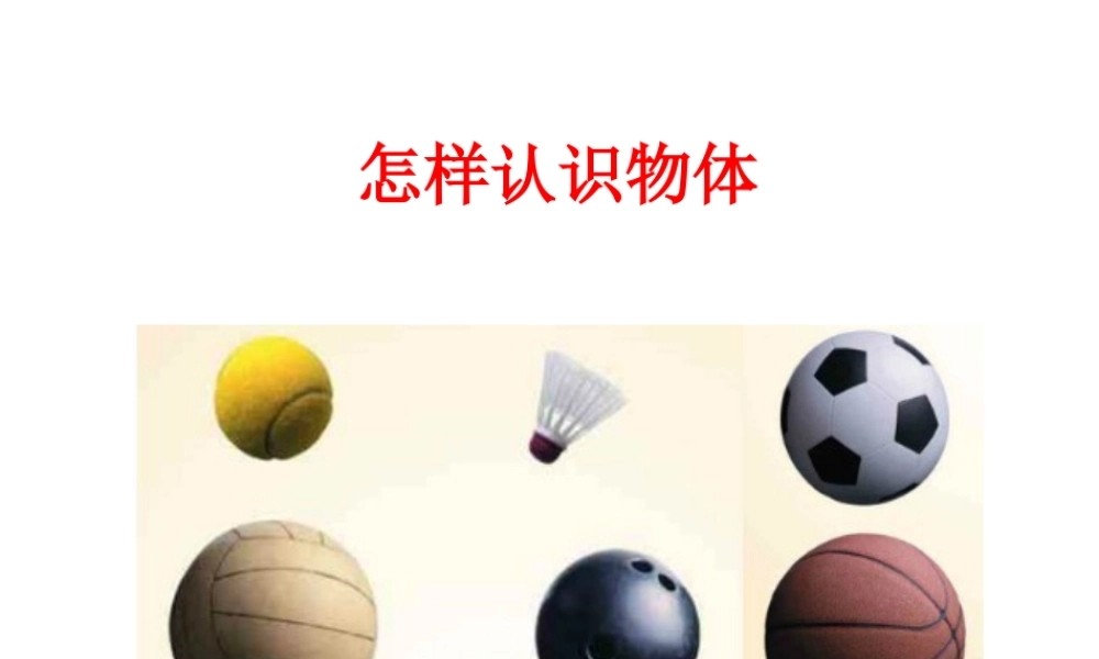 青岛小学科学三上《4 怎样认识物体》PPT课件 (8)【加微信公众号 jiaoxuewuyou 九折优惠 qq 1119139686】.ppt