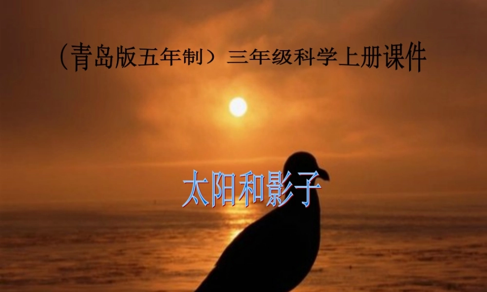 青岛小学科学三上《11 太阳和影子》PPT课件 (3)【加微信公众号 jiaoxuewuyou 九折优惠 qq 1119139686】.ppt