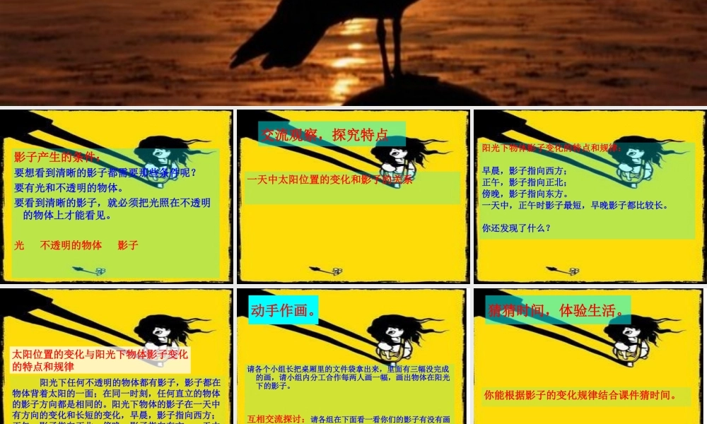 青岛小学科学三上《11 太阳和影子》PPT课件 (3)【加微信公众号 jiaoxuewuyou 九折优惠 qq 1119139686】.ppt