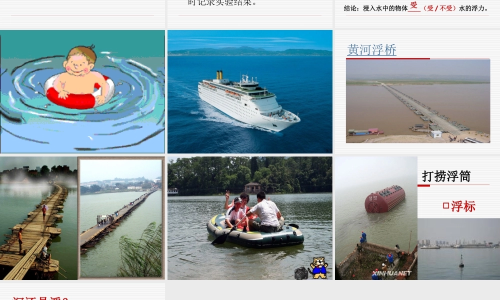 青岛小学科学三上《15有趣的浮沉现象》PPT课件 (8)【加微信公众号 jiaoxuewuyou 九折优惠 qq 1119139686】.ppt