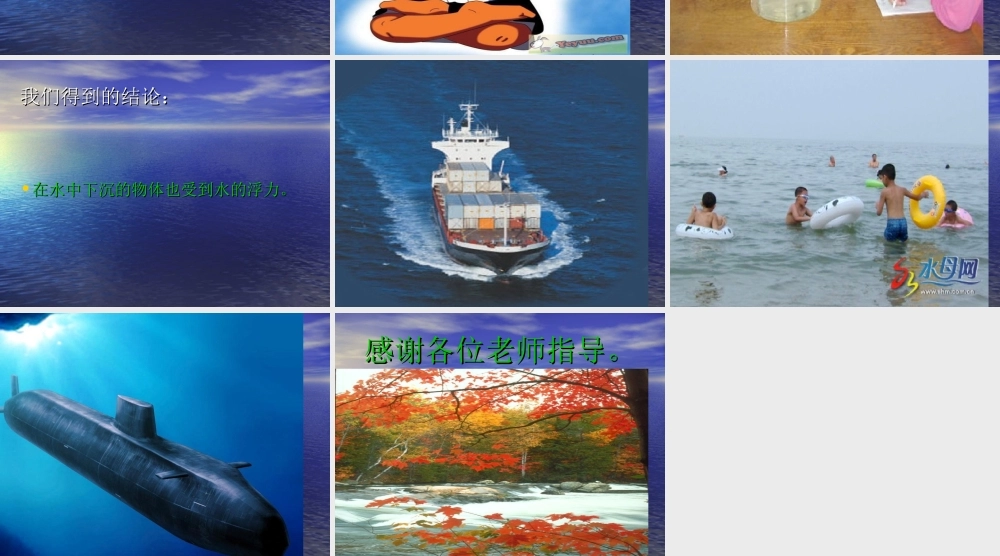 青岛小学科学三上《15有趣的浮沉现象》PPT课件 (10)【加微信公众号 jiaoxuewuyou 九折优惠 qq 1119139686】.ppt