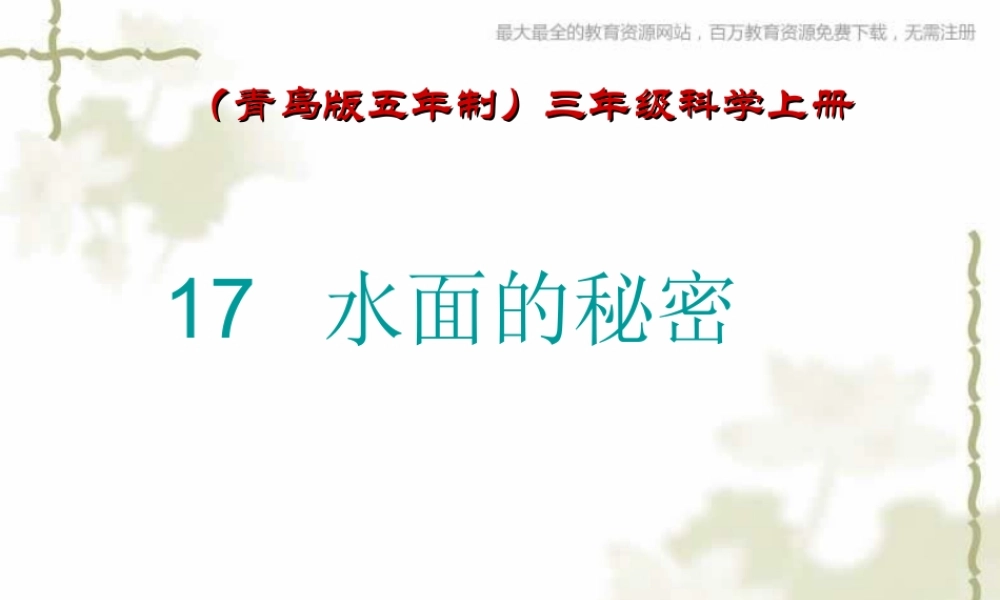 青岛小学科学三上《17 水面的秘密》PPT课件 (3)【加微信公众号 jiaoxuewuyou 九折优惠 qq 1119139686】.ppt