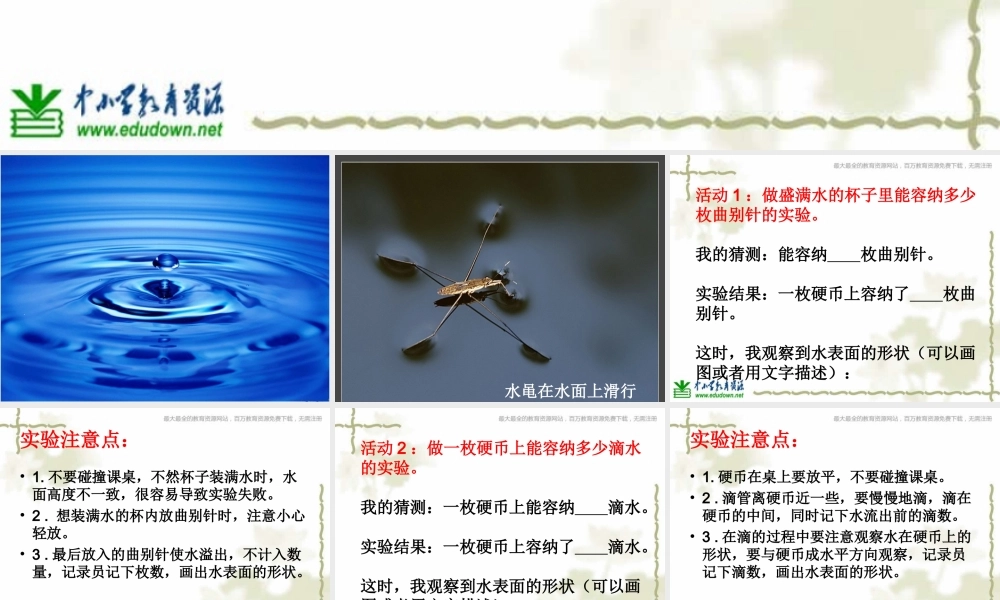 青岛小学科学三上《17 水面的秘密》PPT课件 (3)【加微信公众号 jiaoxuewuyou 九折优惠 qq 1119139686】.ppt