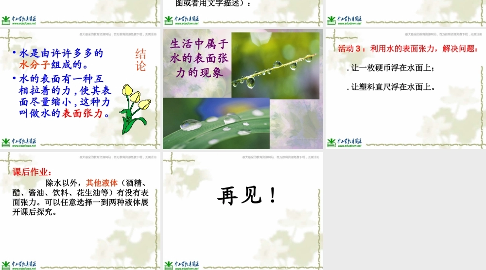 青岛小学科学三上《17 水面的秘密》PPT课件 (3)【加微信公众号 jiaoxuewuyou 九折优惠 qq 1119139686】.ppt