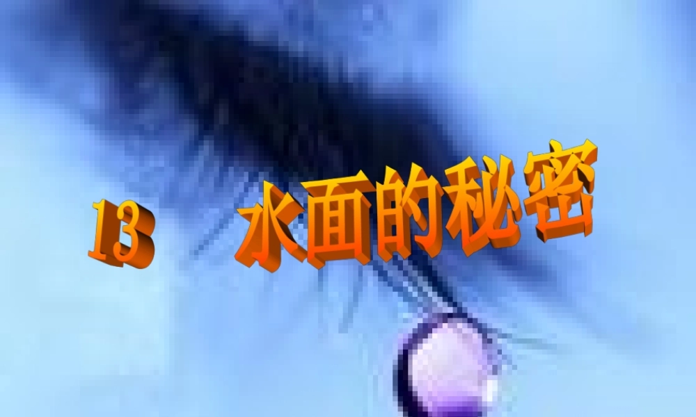 青岛小学科学三上《17 水面的秘密》PPT课件 (7)【加微信公众号 jiaoxuewuyou 九折优惠 qq 1119139686】.ppt
