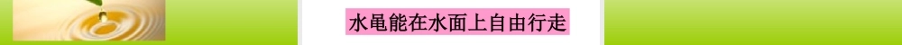 青岛小学科学三上《17 水面的秘密》PPT课件 (7)【加微信公众号 jiaoxuewuyou 九折优惠 qq 1119139686】.ppt