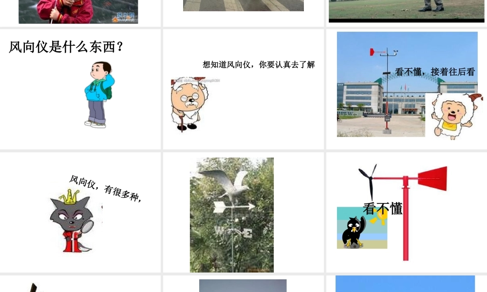 青岛小学科学三上《20 我的风向标》PPT课件【加微信公众号 jiaoxuewuyou 九折优惠 qq 1119139686】.ppt