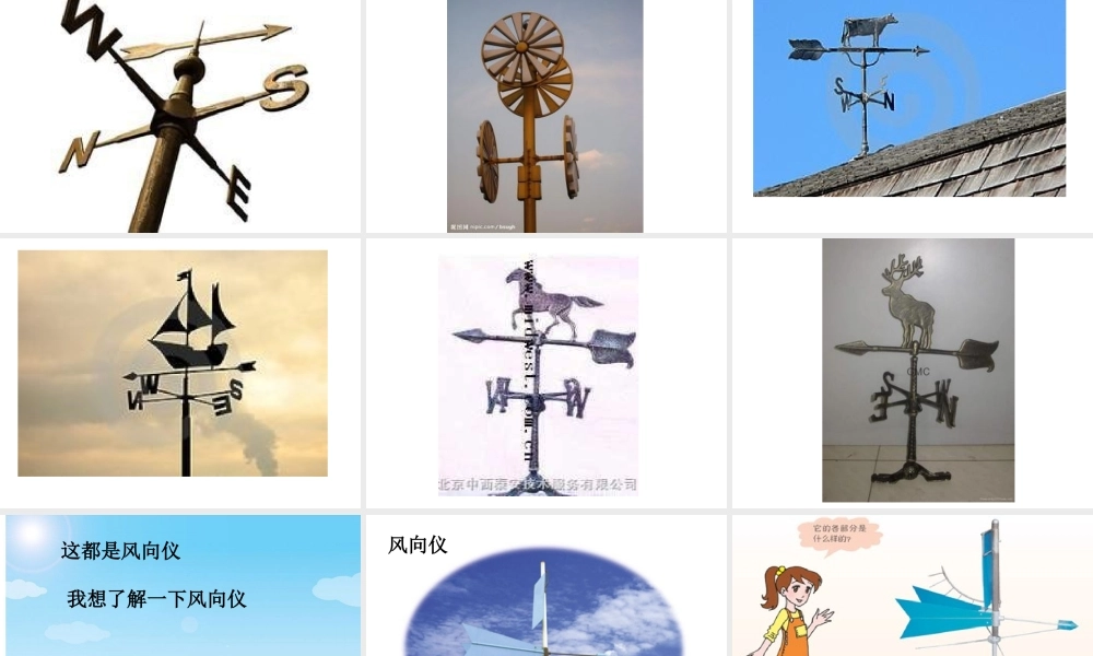 青岛小学科学三上《20 我的风向标》PPT课件【加微信公众号 jiaoxuewuyou 九折优惠 qq 1119139686】.ppt