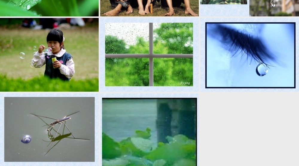 青岛小学科学三上《17 水面的秘密》PPT课件 (4)【加微信公众号 jiaoxuewuyou 九折优惠 qq 1119139686】.ppt