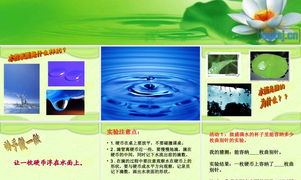 青岛小学科学三上《17 水面的秘密》PPT课件 (6)【加微信公众号 jiaoxuewuyou 九折优惠 qq 1119139686】.ppt