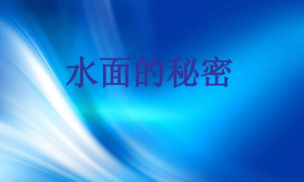 青岛小学科学三上《17 水面的秘密》PPT课件 (2)【加微信公众号 jiaoxuewuyou 九折优惠 qq 1119139686】.ppt