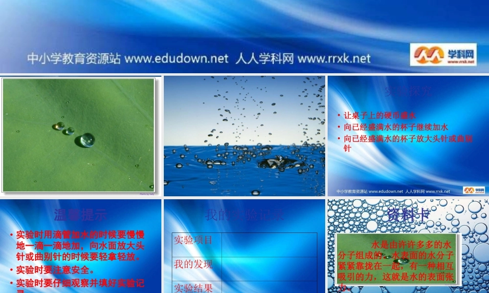 青岛小学科学三上《17 水面的秘密》PPT课件 (2)【加微信公众号 jiaoxuewuyou 九折优惠 qq 1119139686】.ppt